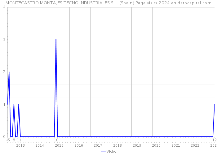 MONTECASTRO MONTAJES TECNO INDUSTRIALES S L. (Spain) Page visits 2024 