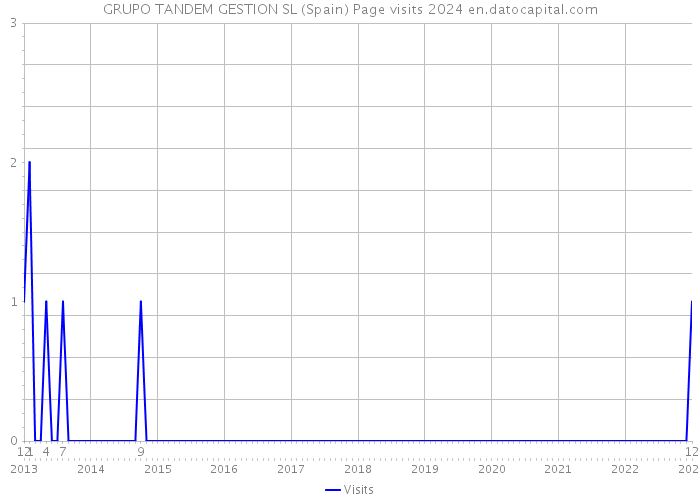 GRUPO TANDEM GESTION SL (Spain) Page visits 2024 