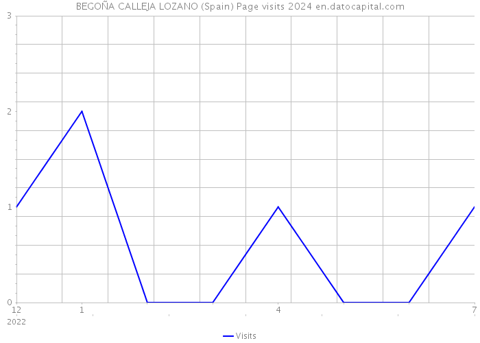 BEGOÑA CALLEJA LOZANO (Spain) Page visits 2024 