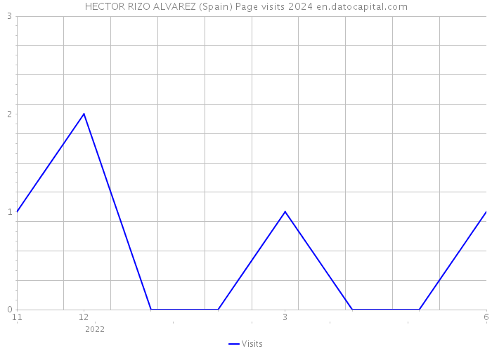 HECTOR RIZO ALVAREZ (Spain) Page visits 2024 