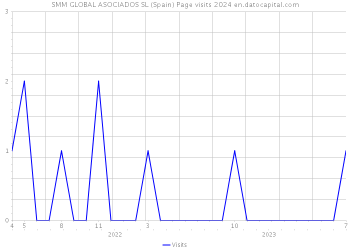 SMM GLOBAL ASOCIADOS SL (Spain) Page visits 2024 