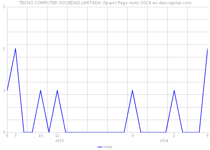 TECNO COMPUTER SOCIEDAD LIMITADA (Spain) Page visits 2024 