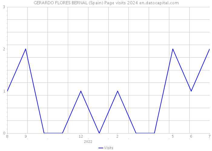 GERARDO FLORES BERNAL (Spain) Page visits 2024 