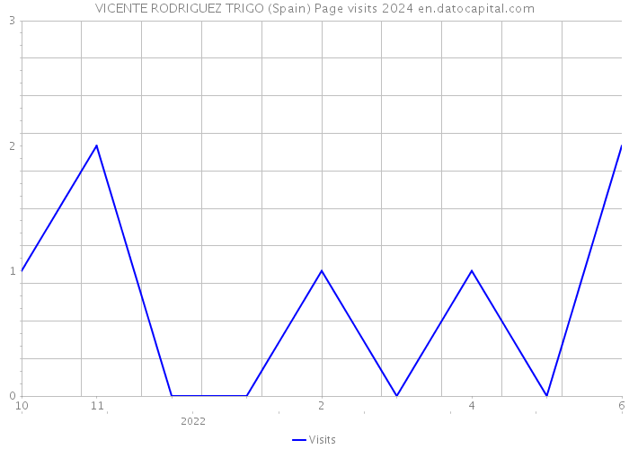 VICENTE RODRIGUEZ TRIGO (Spain) Page visits 2024 