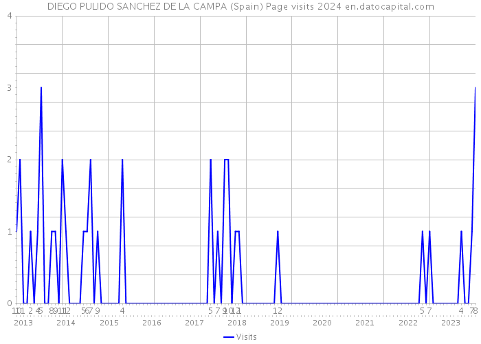DIEGO PULIDO SANCHEZ DE LA CAMPA (Spain) Page visits 2024 