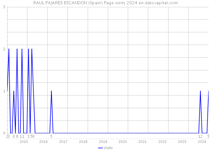 RAUL PAJARES ESCANDON (Spain) Page visits 2024 
