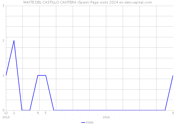 MAITE DEL CASTILLO CANTERA (Spain) Page visits 2024 