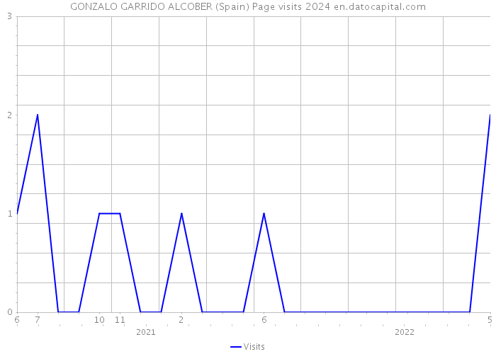 GONZALO GARRIDO ALCOBER (Spain) Page visits 2024 
