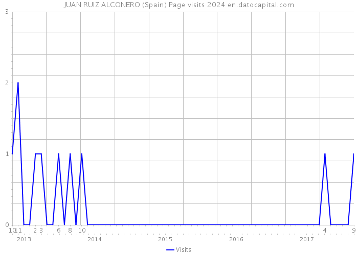 JUAN RUIZ ALCONERO (Spain) Page visits 2024 