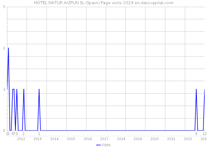 HOTEL NATUR AIZPUN SL (Spain) Page visits 2024 