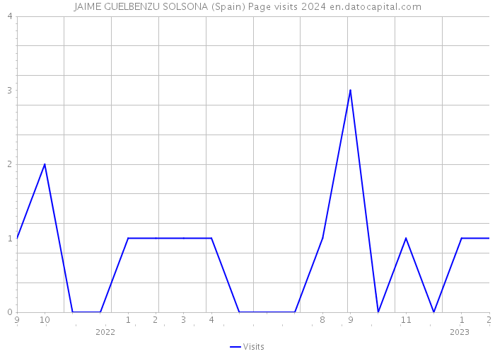 JAIME GUELBENZU SOLSONA (Spain) Page visits 2024 
