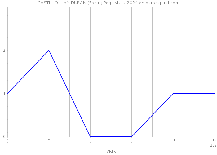 CASTILLO JUAN DURAN (Spain) Page visits 2024 