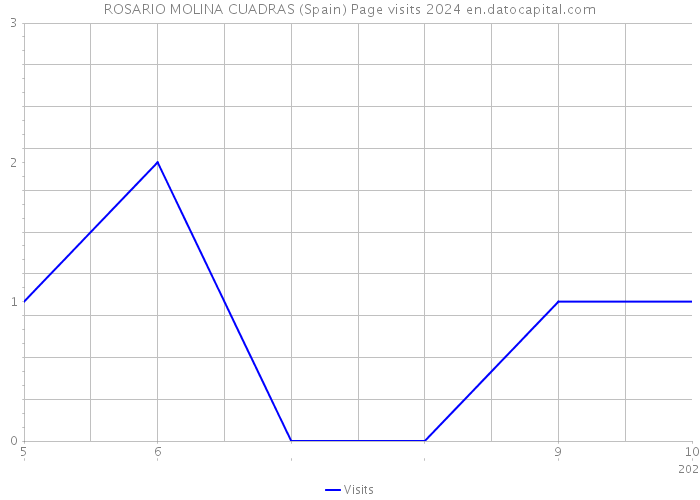 ROSARIO MOLINA CUADRAS (Spain) Page visits 2024 