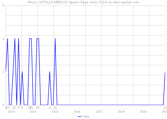 RAUL CASTILLO MERLOS (Spain) Page visits 2024 