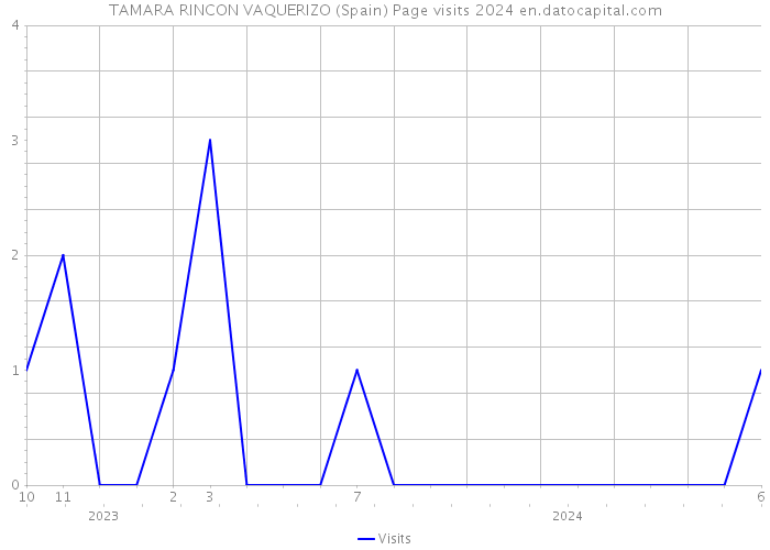 TAMARA RINCON VAQUERIZO (Spain) Page visits 2024 