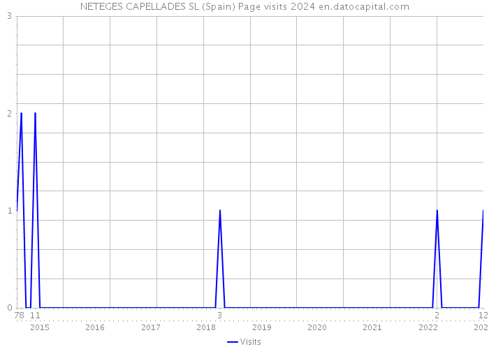 NETEGES CAPELLADES SL (Spain) Page visits 2024 