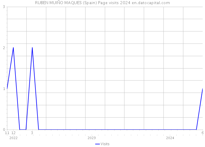 RUBEN MUIÑO MAQUES (Spain) Page visits 2024 