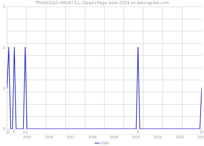 TRIANGULO HIRUKI S.L. (Spain) Page visits 2024 