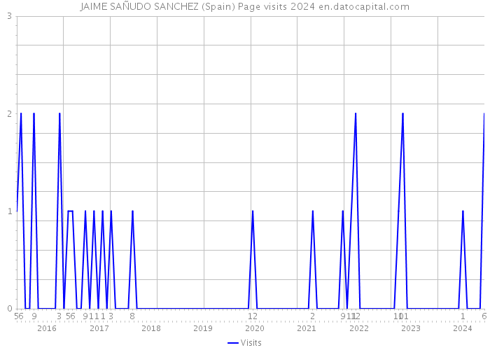 JAIME SAÑUDO SANCHEZ (Spain) Page visits 2024 