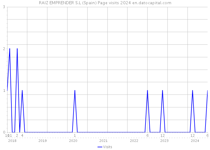 RAIZ EMPRENDER S.L (Spain) Page visits 2024 
