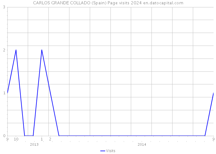 CARLOS GRANDE COLLADO (Spain) Page visits 2024 