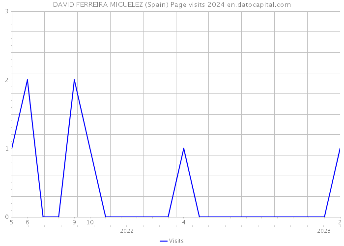 DAVID FERREIRA MIGUELEZ (Spain) Page visits 2024 