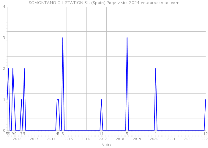 SOMONTANO OIL STATION SL. (Spain) Page visits 2024 