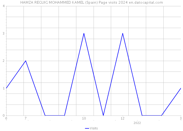 HAMZA REGUIG MOHAMMED KAMEL (Spain) Page visits 2024 