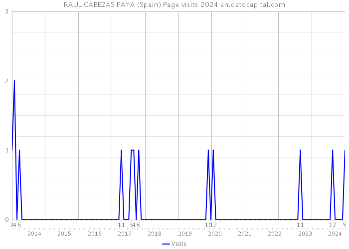 RAUL CABEZAS FAYA (Spain) Page visits 2024 