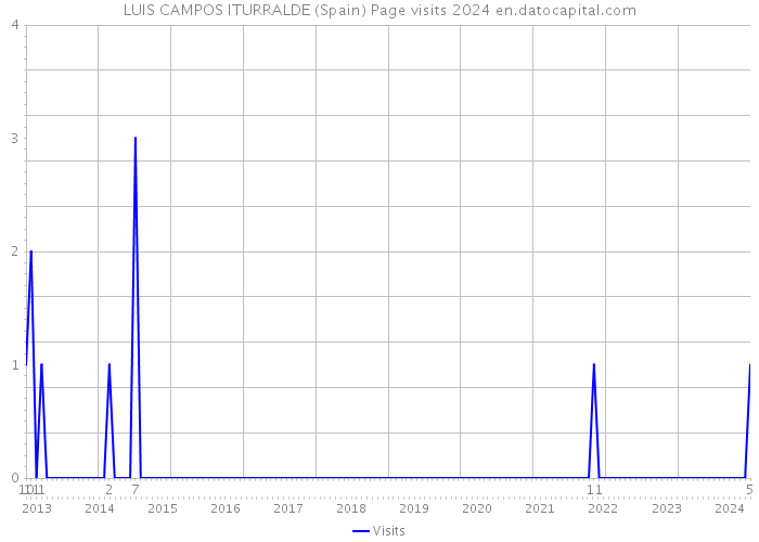 LUIS CAMPOS ITURRALDE (Spain) Page visits 2024 