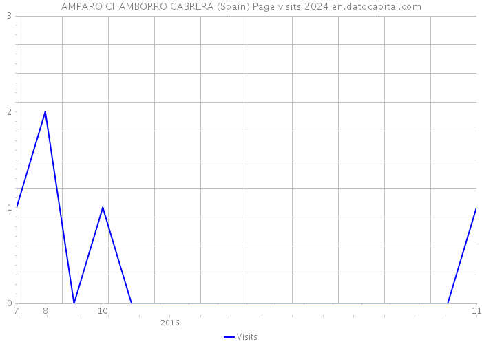 AMPARO CHAMBORRO CABRERA (Spain) Page visits 2024 