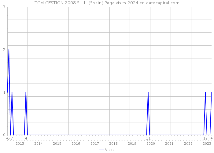 TCM GESTION 2008 S.L.L. (Spain) Page visits 2024 