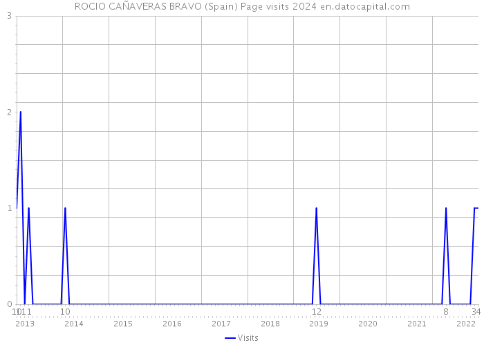 ROCIO CAÑAVERAS BRAVO (Spain) Page visits 2024 