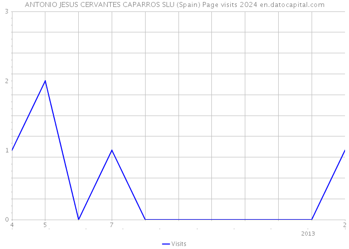 ANTONIO JESUS CERVANTES CAPARROS SLU (Spain) Page visits 2024 