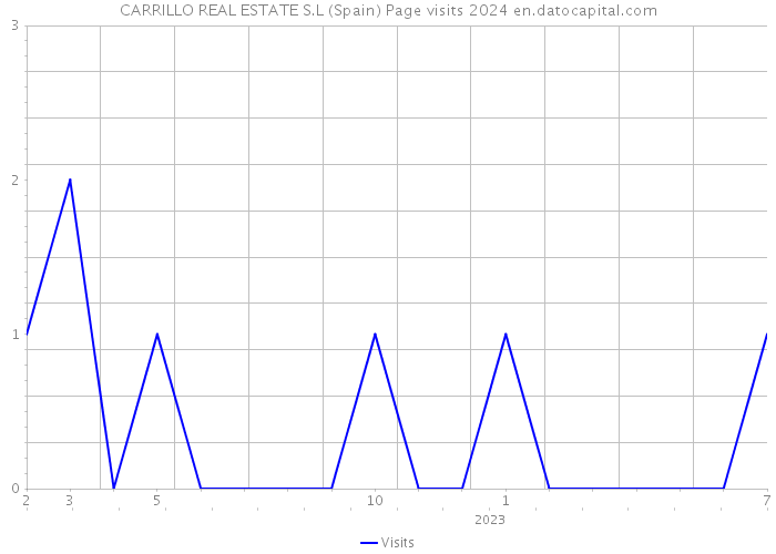 CARRILLO REAL ESTATE S.L (Spain) Page visits 2024 