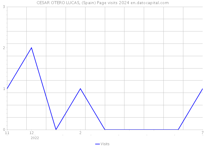 CESAR OTERO LUCAS, (Spain) Page visits 2024 