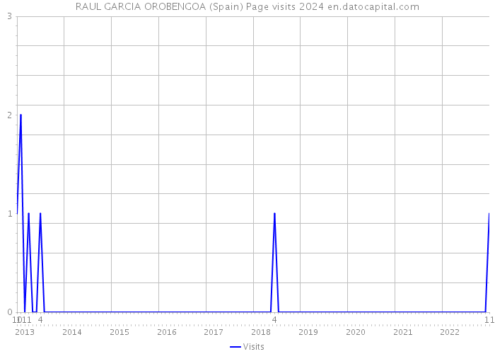 RAUL GARCIA OROBENGOA (Spain) Page visits 2024 