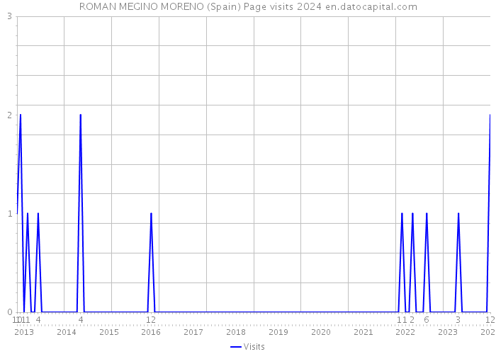 ROMAN MEGINO MORENO (Spain) Page visits 2024 