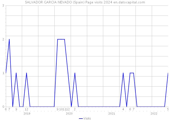SALVADOR GARCIA NEVADO (Spain) Page visits 2024 