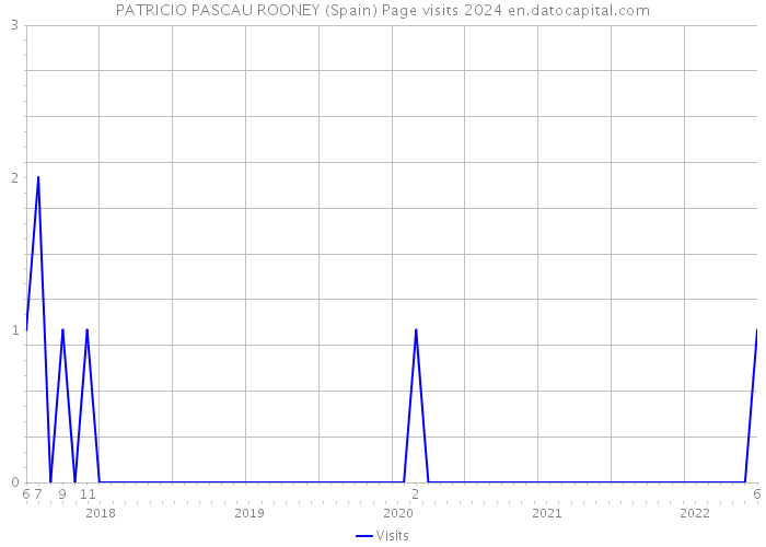 PATRICIO PASCAU ROONEY (Spain) Page visits 2024 