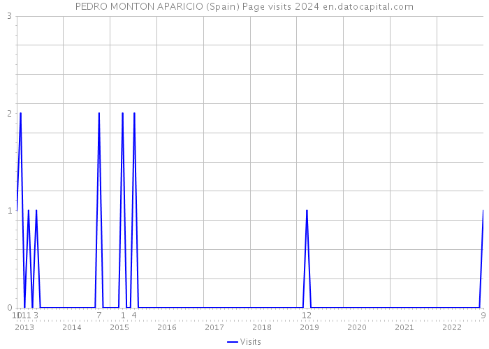 PEDRO MONTON APARICIO (Spain) Page visits 2024 