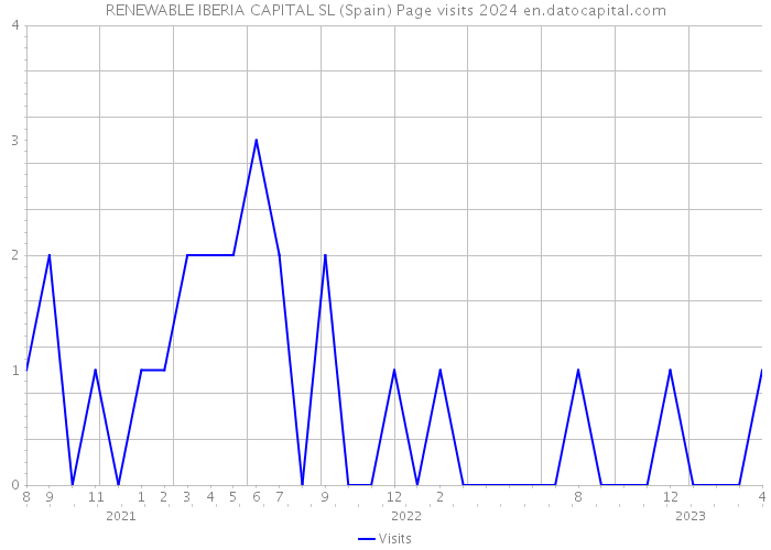 RENEWABLE IBERIA CAPITAL SL (Spain) Page visits 2024 