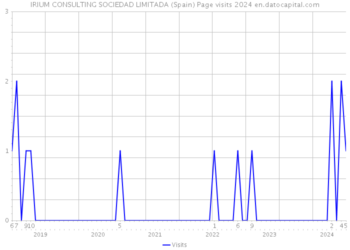 IRIUM CONSULTING SOCIEDAD LIMITADA (Spain) Page visits 2024 