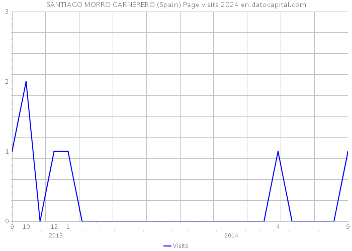 SANTIAGO MORRO CARNERERO (Spain) Page visits 2024 