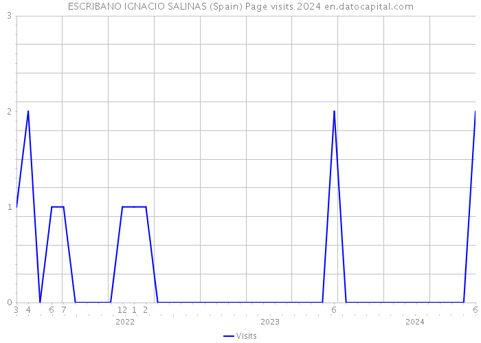 ESCRIBANO IGNACIO SALINAS (Spain) Page visits 2024 