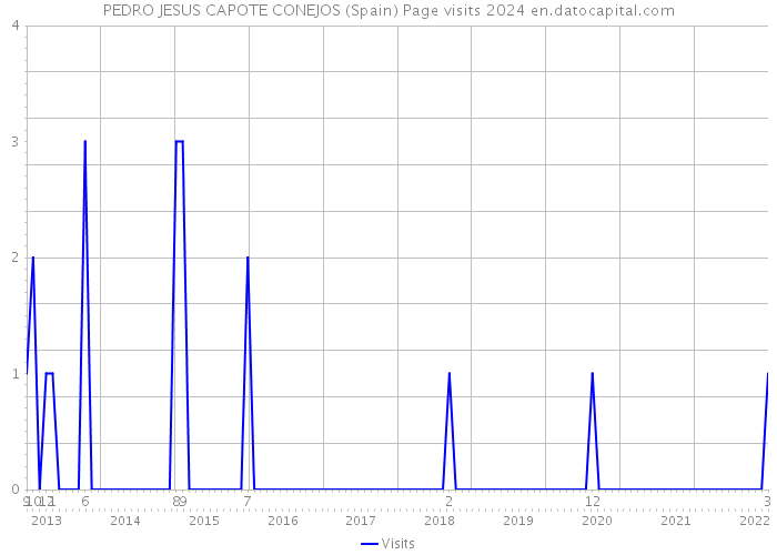 PEDRO JESUS CAPOTE CONEJOS (Spain) Page visits 2024 