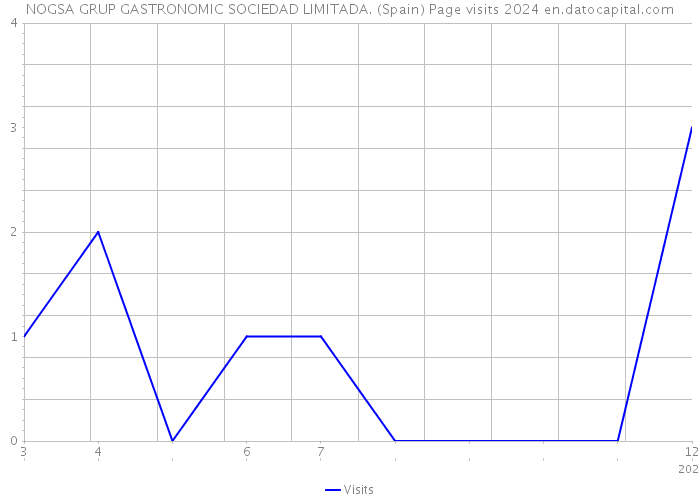 NOGSA GRUP GASTRONOMIC SOCIEDAD LIMITADA. (Spain) Page visits 2024 