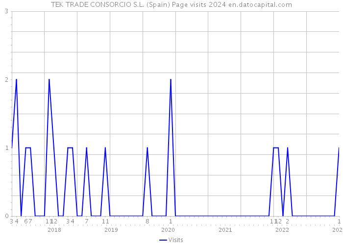 TEK TRADE CONSORCIO S.L. (Spain) Page visits 2024 