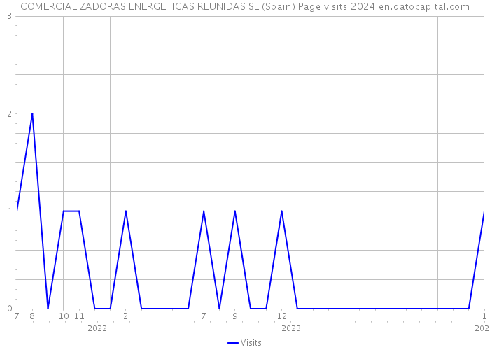COMERCIALIZADORAS ENERGETICAS REUNIDAS SL (Spain) Page visits 2024 