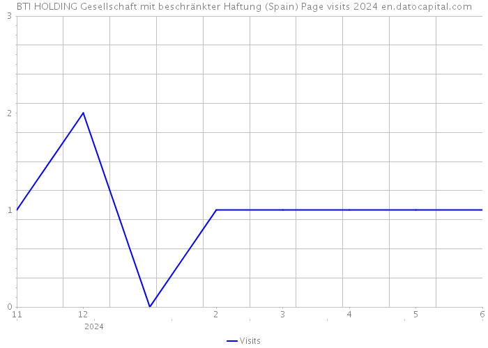 BTI HOLDING Gesellschaft mit beschränkter Haftung (Spain) Page visits 2024 